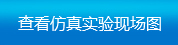 查看仿真實驗現場圖