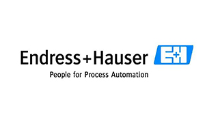 Endress+Hauser(E+H) Endress+Hauser(E+H)